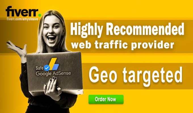 Gig Preview - Send geo target,adsense safe,niche related,real organic visitors