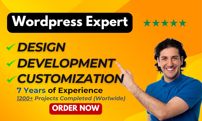 Gig Preview - Create custom wordpress website design and development