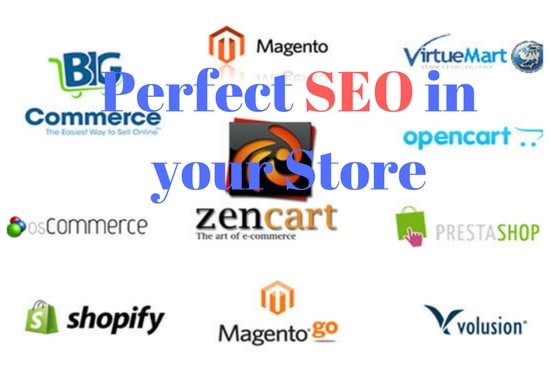 Gig Preview - Do perfect SEO in your store