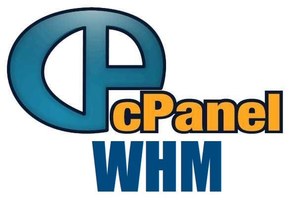 Bestseller - help you in cpanel, whm issues