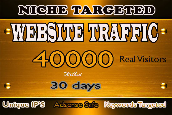 Gig Preview - Guarantee to provide 40k niche targeted website traffic