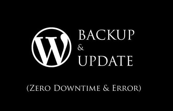 Gig Preview - Take a backup and update wordpress, php, theme and plugins