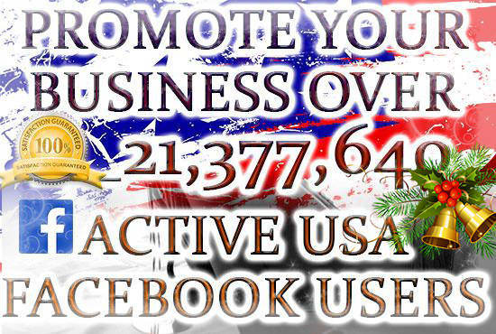 Gig Preview - Promote Your Business Over 21,377,640 USA Facebook Users