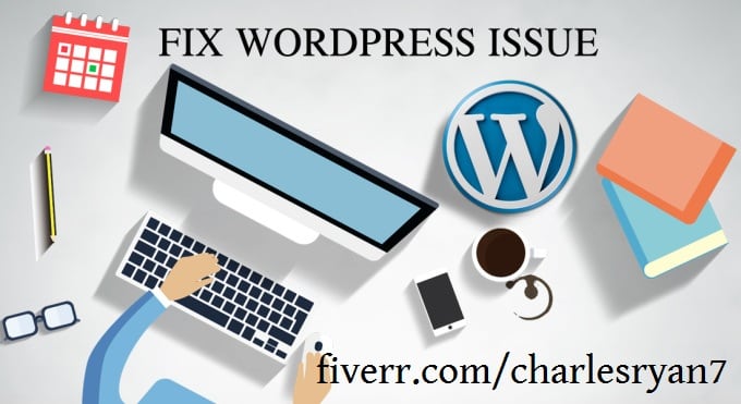 Gig Preview - Fix wordpress issues and any kind wordpress erros in 24 hrs