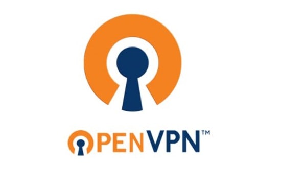 Gig Preview - Setup openvpn server and advance routing with static or dynamic client IP