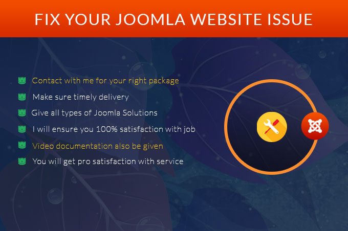 Gig Preview - Do your joomla website tasks in 24h