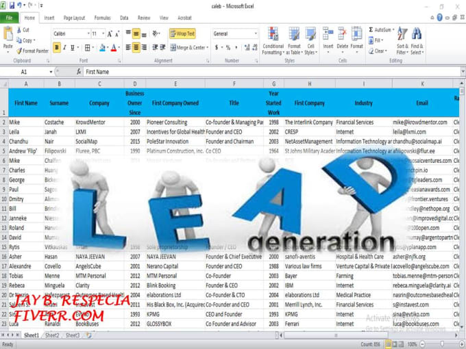 Gig Preview - Do lead generation for your business