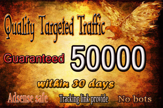 Gig Preview - Drive 50k usa niche targeted,visitors website,traffic