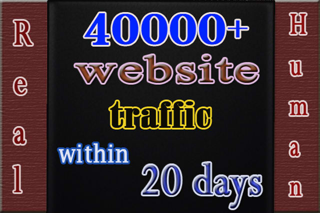 Gig Preview - Drive real unlimited website,usa traffic,visitors