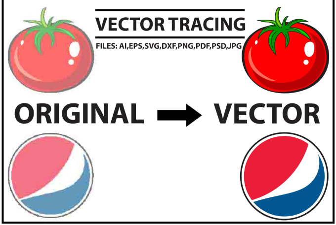 Gig Preview - Do vector trace, convert logo to vector within a short time