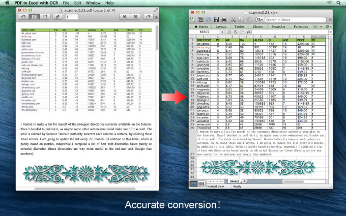 Gig Preview - Convert pdf to excel or word , 20 pages for 5  only