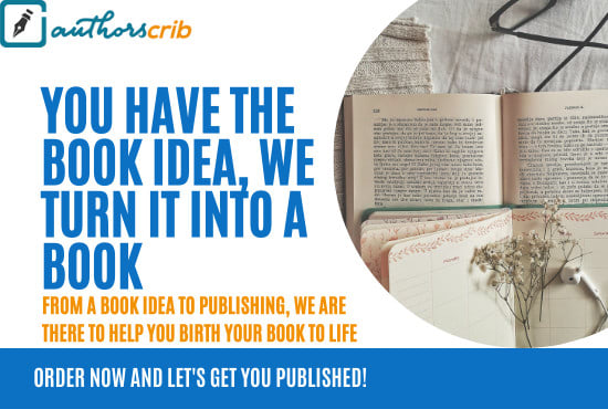 Gig Preview - Turn your book idea into a published book