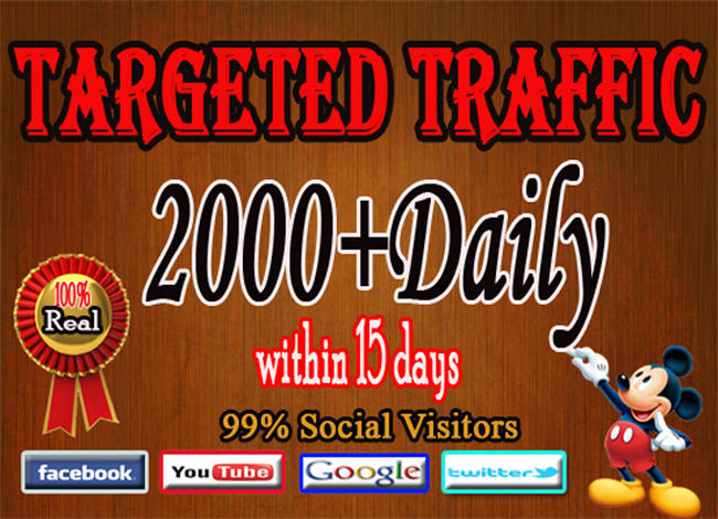 Gig Preview - Drive 2k daily targeted website,traffic