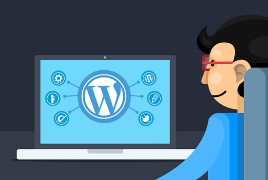 Gig Preview - Do any wordpress customization