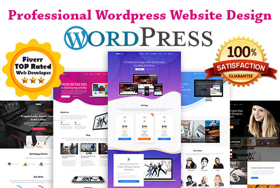 Gig Preview - Develop professional business wordpress website