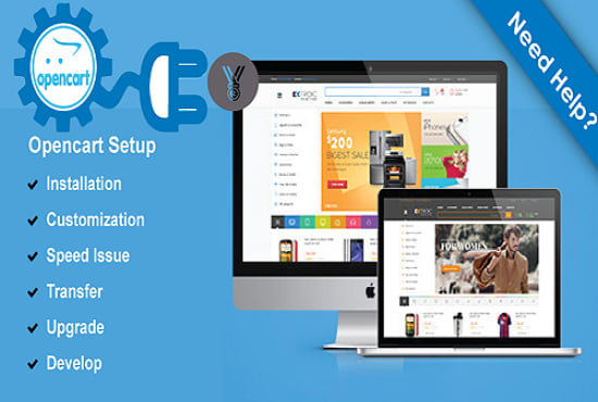 Gig Preview - Setup,install,develop opencart plugins,extensions or theme