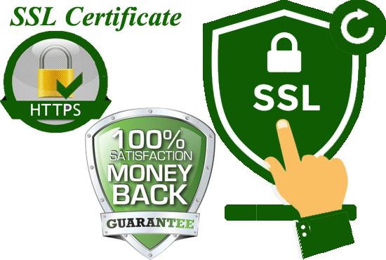 Gig Preview - Install SSL certificate on website