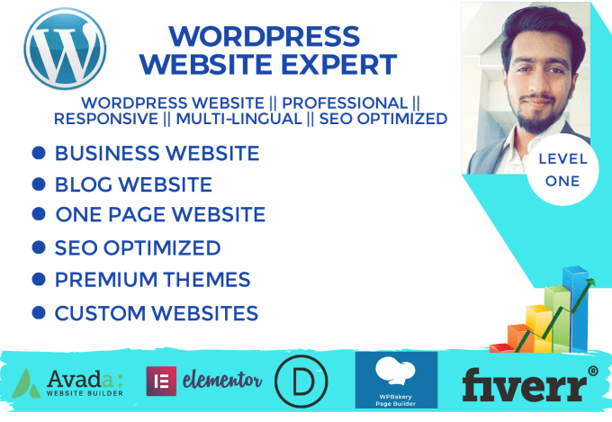 Gig Preview - Create professional responsive wordpress or custom websites