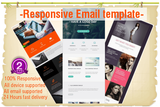 Gig Preview - Create professional responsive email template for you