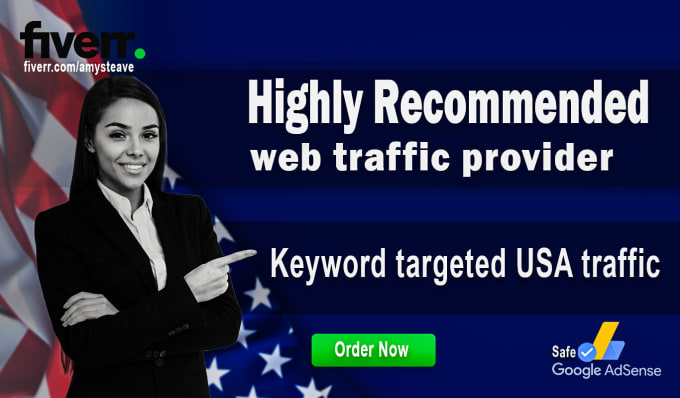 Gig Preview - Send keyword target organic website traffic from usa,adsense safe