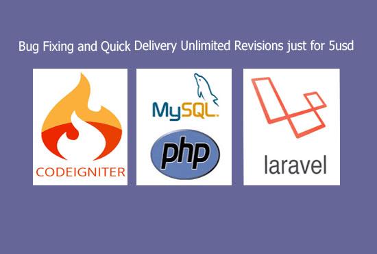 Gig Preview - Fix your codeigniter, laravel, and php bug