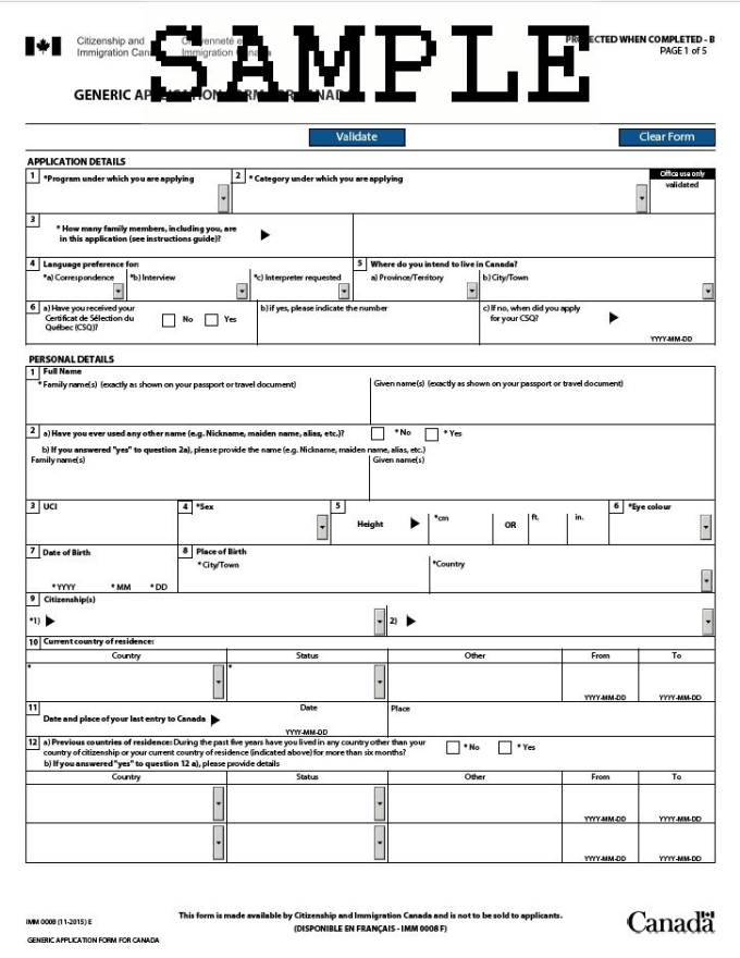 Gig Preview - Online offline visa form filling application