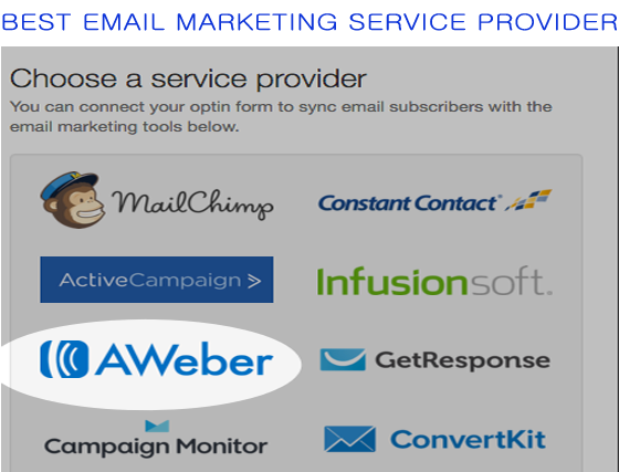 Bestseller - integrate aweber mailchimp or any option form to your website and funnels