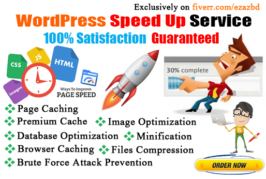 Gig Preview - Speed up your wordpress in google pagespeed with in 24hr