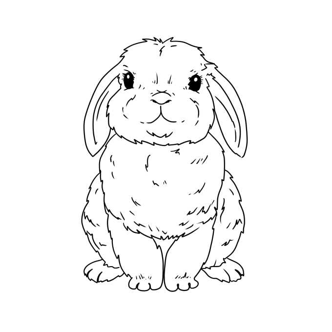 Gig Preview - Draw an outline line art of your pet