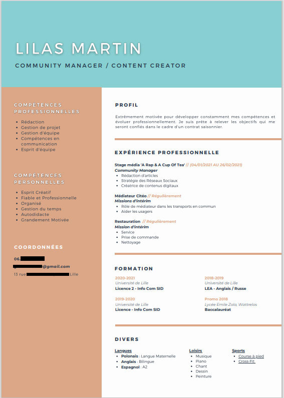 Gig Preview - Write and create a design and professional resume