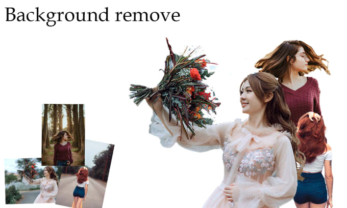 Gig Preview - Cut out images, cut out background remove fast