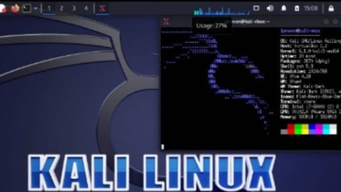 Gig Preview - Do install kali linux,ubuntu and troubleshoot server setup problems within 24hrs