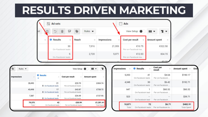 Gig Preview - Be your expert facebook ads manager on monthly basis