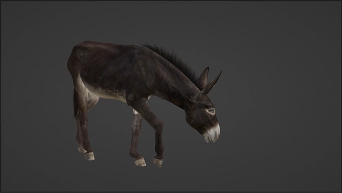 Gig Preview - Do realistic 3d animal animation, 3d modelling, 3d rendering vfx, for your film,