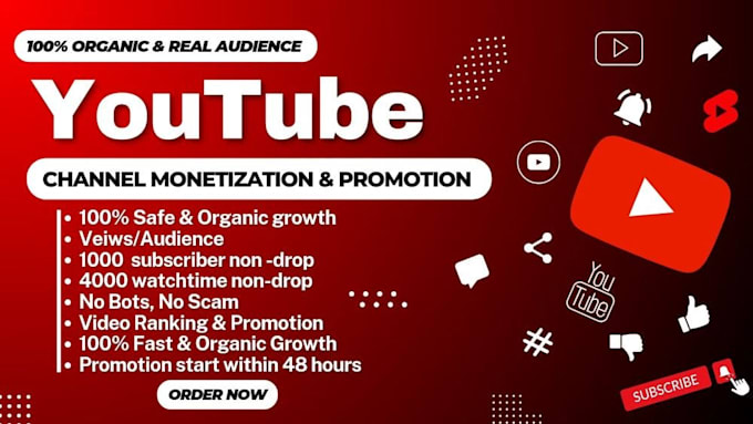 Gig Preview - Do youtube promotion and complete channel monetize