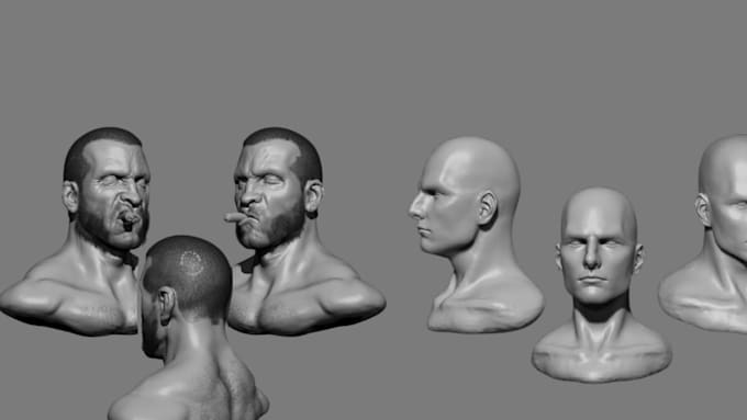 Gig Preview - Sculpt 3d head 3d face 3d bust sculpt 3d model for printing