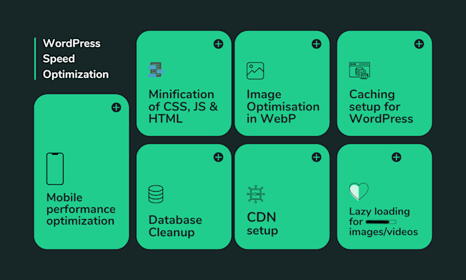 Gig Preview - Optimize your wordpress website speed under 24 hours