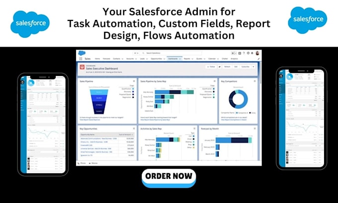 Gig Preview - Salesforce admin, setup task automation, custom fields, report design, CRM flows