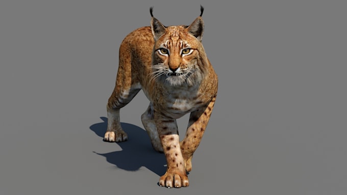 Gig Preview - Create 3d realistci animal animation, 3d animal model, 3d anima rigging, 3d fur