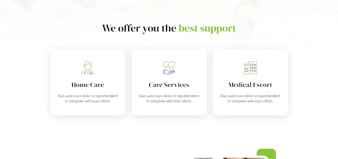 Gig Preview - Medical healthcare, clinic website, home care website