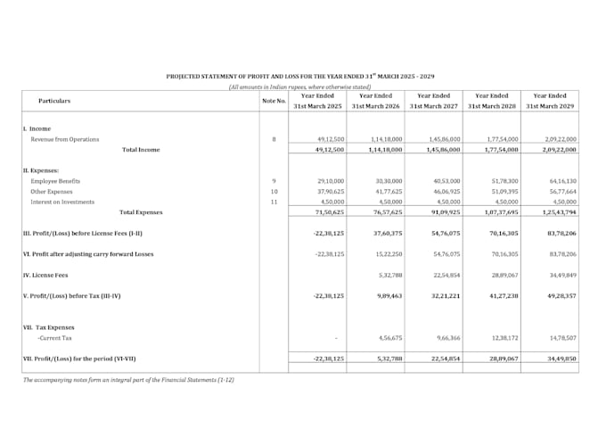 Gig Preview - Prepare financial projections for loan purposes