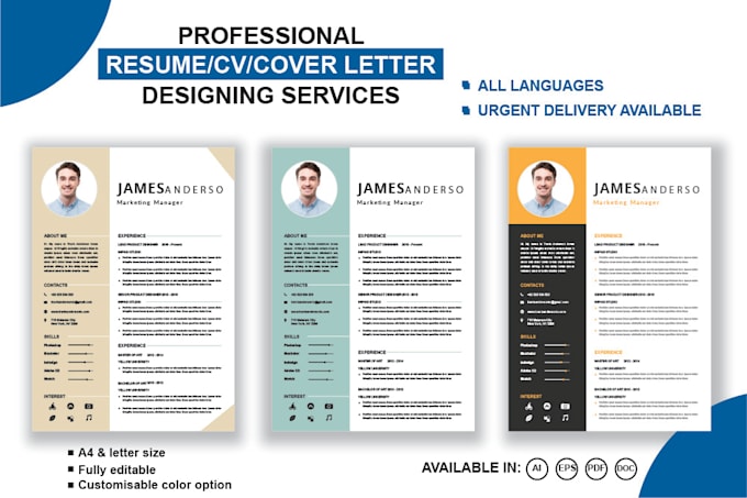 Gig Preview - Make professional CV, resume and portfolio design 24 hours