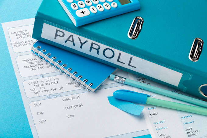 Gig Preview - Manage your payroll system