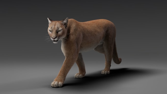 Gig Preview - Do 3d cgi animal animation, 3d animal model, animal rigging, 3d character model