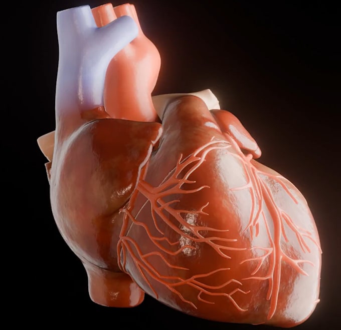 Gig Preview - Do high quality photorealistic medical anatomy 3d rendering