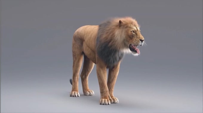 Gig Preview - Create 3d animal animation, 3d animal model, 3d character rigging, 3d animal cgi