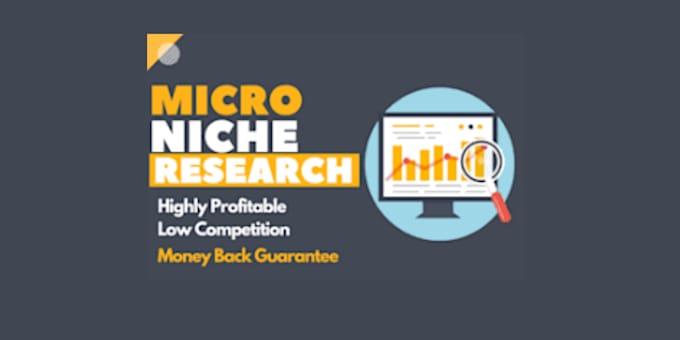 Gig Preview - Research a profitable niche for your business, kindle books