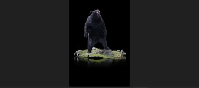 Bestseller - ingrate 3d animal animation, 3d character design, 3d animal model cgi vfx