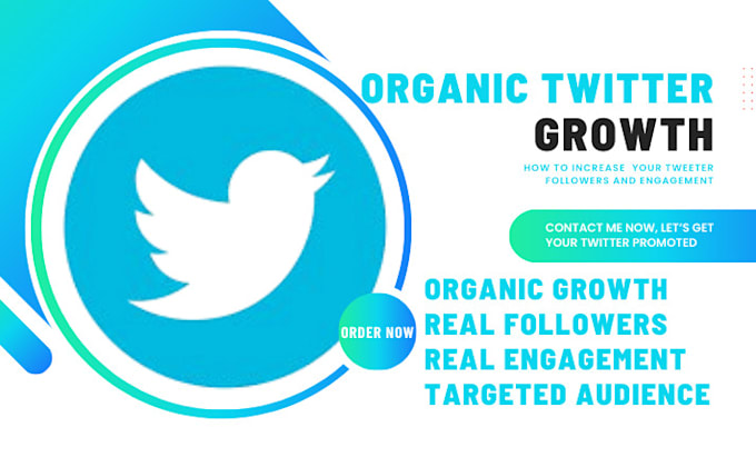 Gig Preview - Do organic promotion for your twitter growth and increase your followers