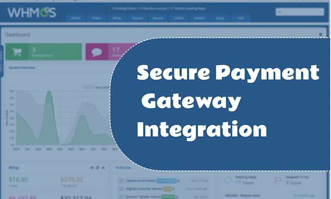 Gig Preview - Develop custom whmcs modules and integrate payment gateways